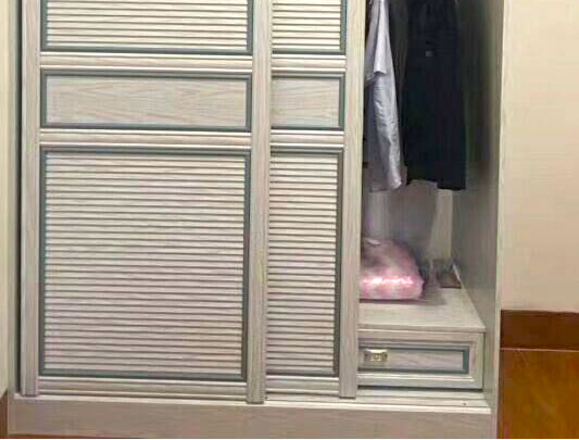 鋁師傅全鋁家具百葉款兩扇移門衣柜裝修效果圖