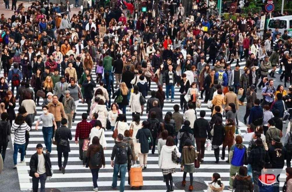 1623287988180490.jpg 1623287988180490.jpg